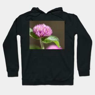 Globe Amaranth Hoodie